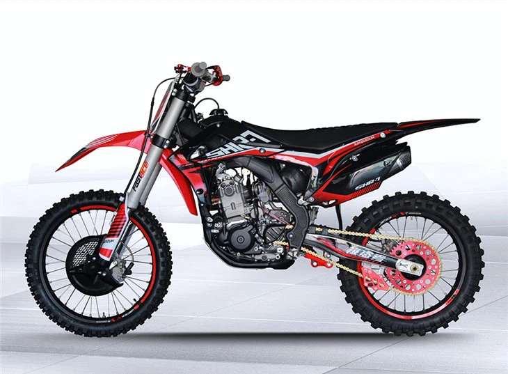4-Stroke Petrol Dirt Bike